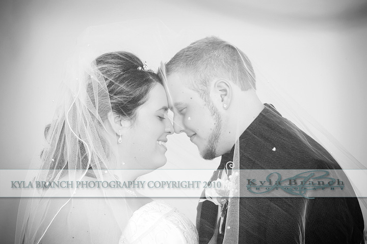 _MG_6482 copy