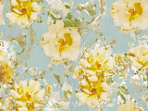 a_Shabby_Rose_Texture_Final_highres